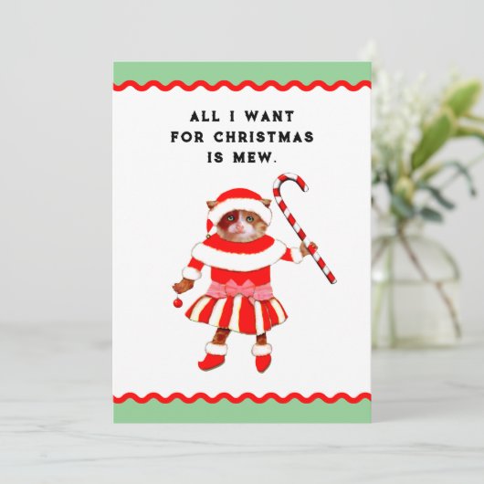 Funny Cat Christmas シーズンカード (スタンド正面)