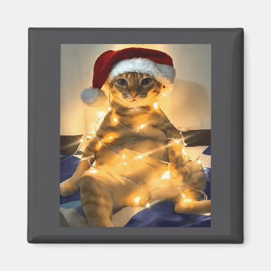 Funny Cat Christmas Meme Shirt Cute Holiday Meme C マグネット (正面)