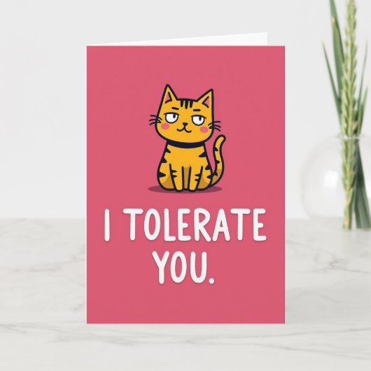 Funny Cat I Tolerate You Card カード (正面)
