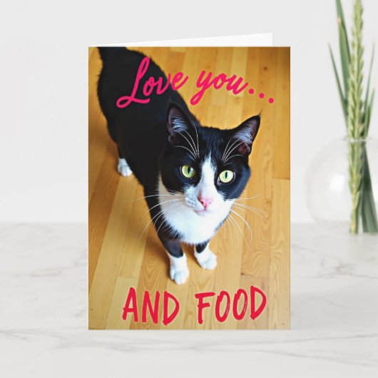Funny Cat Love Food Card カード (正面)