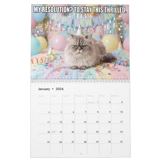 Funny Cat Meme Calendar 2026 カレンダー (1月 2026)