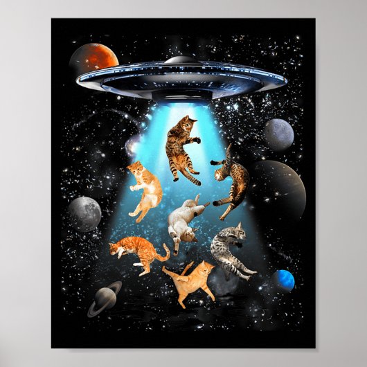 Funny Cat Men Women Graphic For Men Women Kids ポスター (正面)