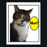 Funny Cat Photo ポスター<br><div class="desc">Funny Cat Photo Poster</div>