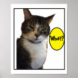 Funny Cat Photo ポスター<br><div class="desc">Funny Cat Photo Poster</div>