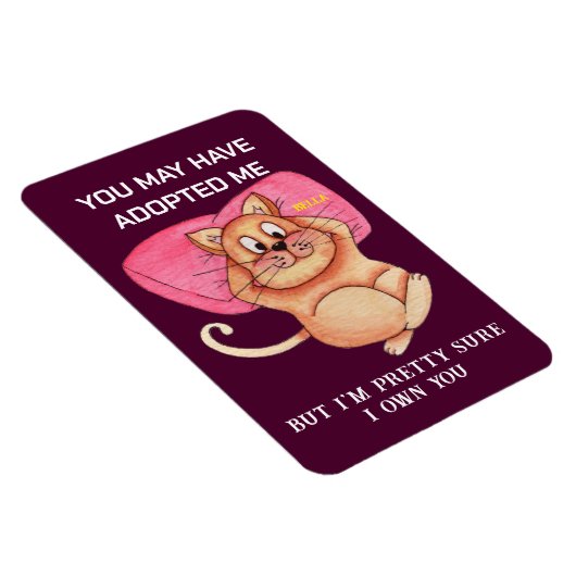 Funny Cat Pun Magnet - Kitchen Fridge Meme Gift マグネット (右側)