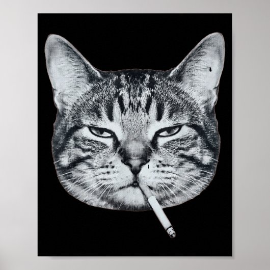 Funny cat smoking cigarette tabby cat meme brainro ポスター (正面)