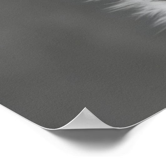 Funny Cat Toilet Paper Roll Art, Whimsical ポスター (角)