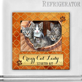 Funny Cats Crazy Cat Lady Photo Magnet マグネット