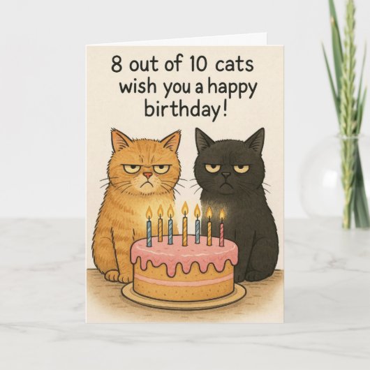 Funny cats Happy Birthday card  カード (正面)