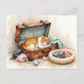 Funny Change of Address from Orange Cat ポストカード (正面)