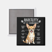 Funny Chihuahua Anatomy Of A Chihuahua Dog Owner P マグネット (正面/裏面)