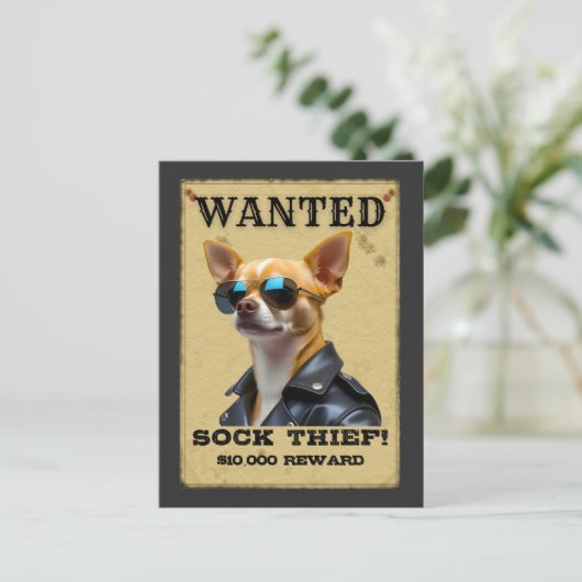 Funny Chihuahua WANTED Poster with Cool Sunglasses ポストカード (スタンド正面)