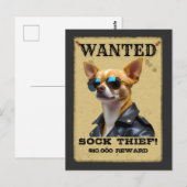 Funny Chihuahua WANTED Poster with Cool Sunglasses ポストカード (正面/裏面)