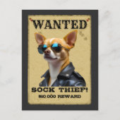 Funny Chihuahua WANTED Poster with Cool Sunglasses ポストカード (正面)