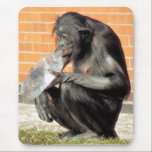 FUNNY CHIMP マウスパッド<br><div class="desc">A thirsty chimpanzee drinking water straight from the bottle.</div>