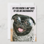 Funny Chinese Pug Cute Puppy Dog Animal Theory  シーズンカード (正面)