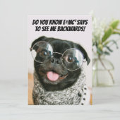 Funny Chinese Pug Cute Puppy Dog Animal Theory  シーズンカード (スタンド正面)