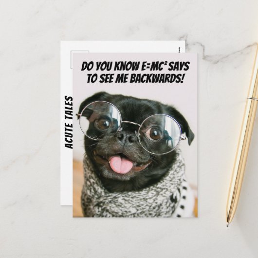 Funny Chinese Pug Cute Puppy Dog Animal Theory  シーズンポストカード (正面/裏面インサイチュ)