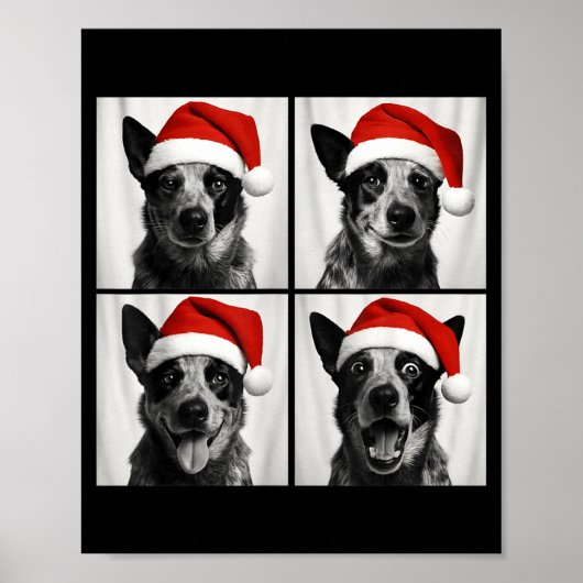 Funny Christmas Australian Cattle Dog Santa Photo  ポスター (正面)
