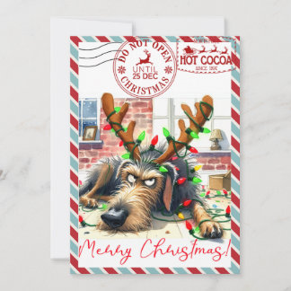 Funny Christmas Card シーズンカード
