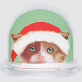 Funny Christmas Cat (裏面)