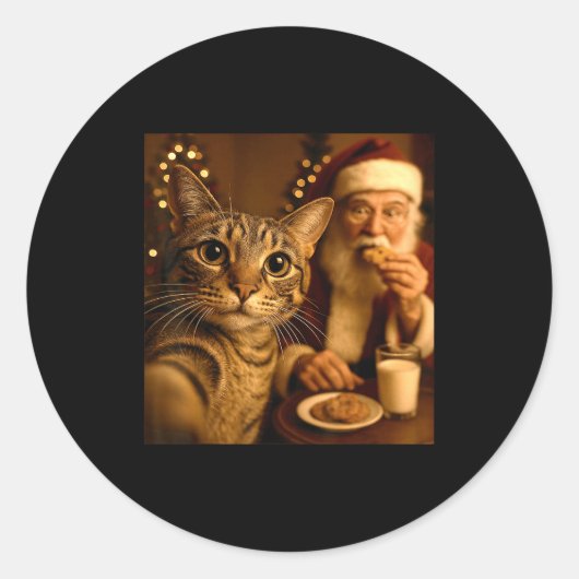 Funny Christmas Cat Selfie With Santa Claus Meme M ラウンドシール (正面)