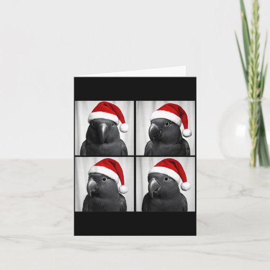 Funny Christmas Eclectus Parrot Santa Photo Booth  カード (正面)