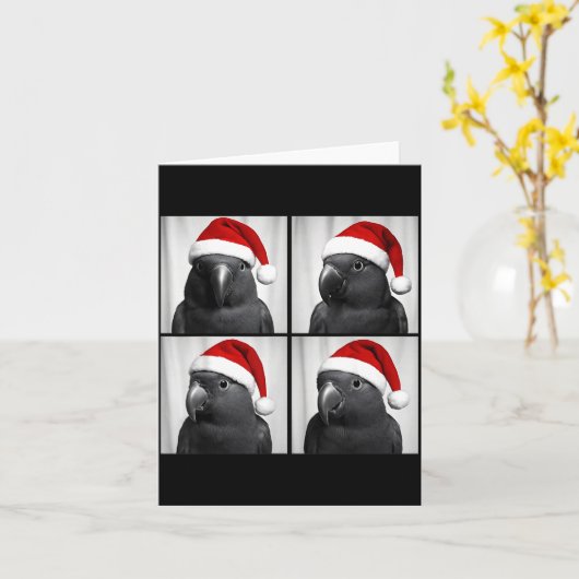 Funny Christmas Eclectus Parrot Santa Photo Booth  カード (黄色い花)