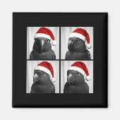 Funny Christmas Eclectus Parrot Santa Photo Booth マグネット (正面)
