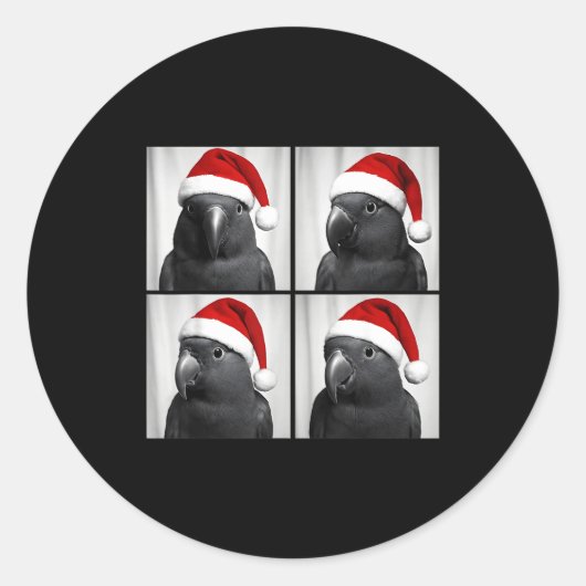 Funny Christmas Eclectus Parrot Santa Photo Booth  ラウンドシール (正面)