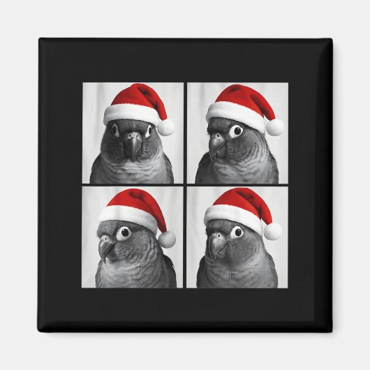 Funny Christmas Green Cheek Conure Santa Photo Boo マグネット (正面)