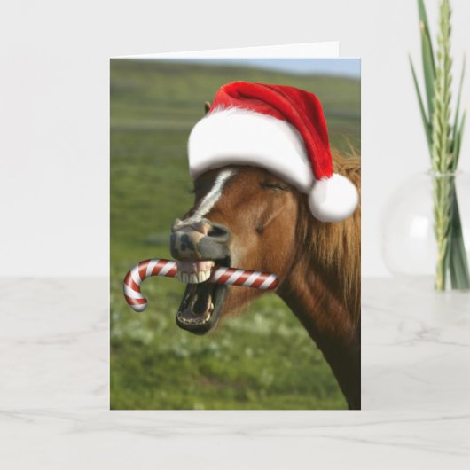 Funny Christmas horse with Santa hat smiling カード (正面)