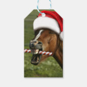 Funny Christmas horse with Santa hat smiling ギフトタグ (正面)