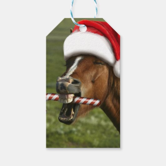 Funny Christmas horse with Santa hat smiling ギフトタグ (正面)