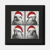 Funny Christmas Quaker Parrot Santa Photo Booth マグネット (正面)