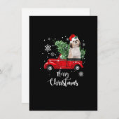 Funny Christmas Santa Shih Tzu Ride Red Truck Xmas 招待状 (正面/裏面)