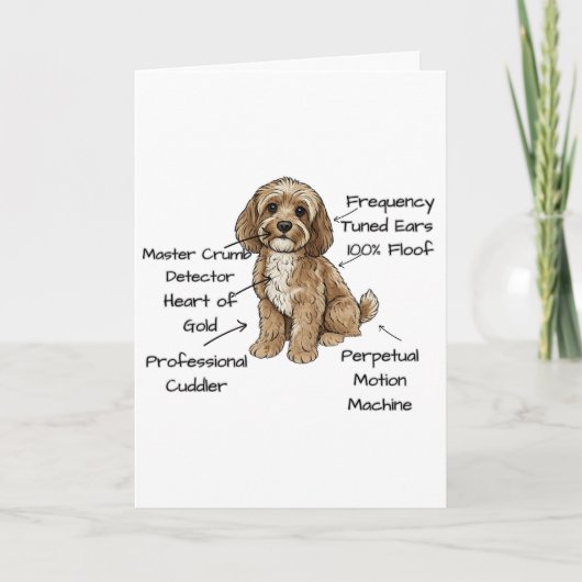 Funny Cockapoo Anatomy Greeting Card カード (正面)