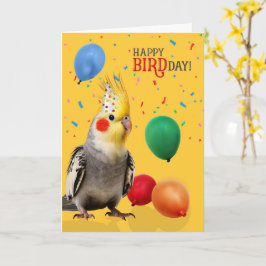 Funny Cockatiel Parrot Birthday Humor カード