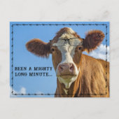 Funny Country Cow With Glasses Rustic Ranch Humor  シーズンポストカード (正面)