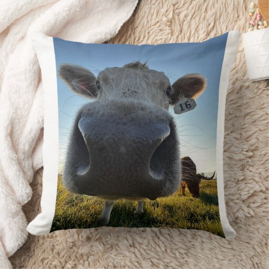 Funny Cow Pillow クッション (ブランケット)