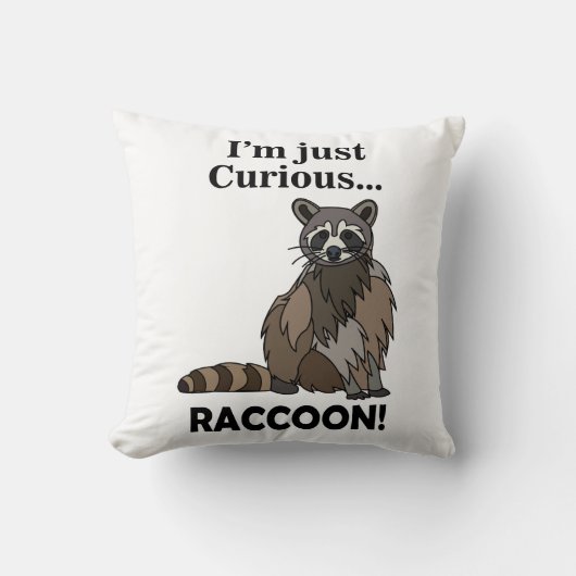 Funny Curious Raccoon クッション (正面)