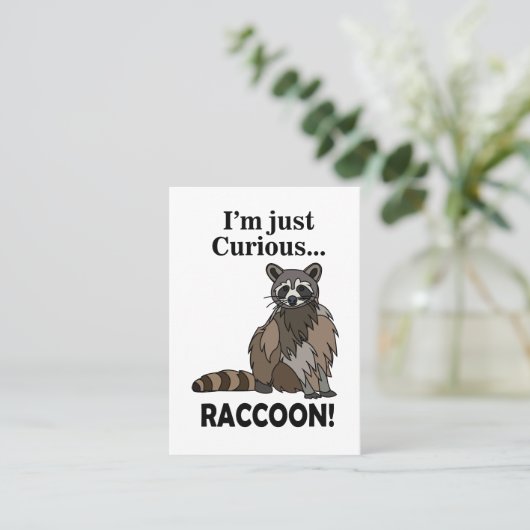 Funny Curious Raccoon 名刺 (スタンド正面)