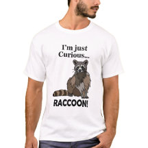 Funny Curious Raccoon