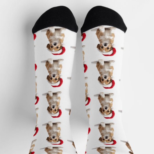 Funny Custom Pet Photo Socks ソックス (上部)