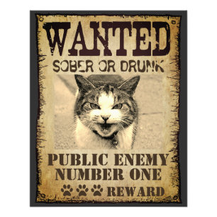 Funny custom wanted poster フォトプリント