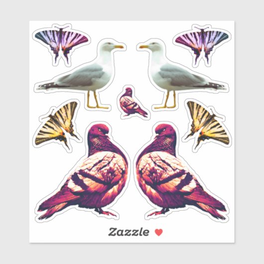 Funny Cute Cool Pigeon Bird & Butterfly Photo シール (シート)