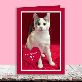 Funny Cute Kitten Cat Valentines Puns Card シーズンカード