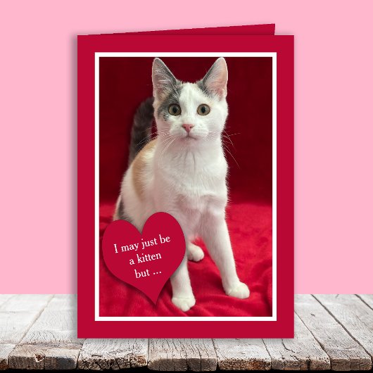 Funny Cute Kitten Cat Valentines Puns Card シーズンカード