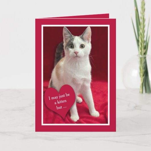 Funny Cute Kitten Cat Valentines Puns Card シーズンカード (正面)