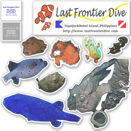 【Funny Cutie Critters】Put on Your Diving Log Book! シール (正面)